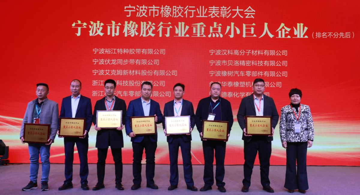 喜報 - 貝洛榮獲“寧波市橡膠行業(yè)優(yōu)秀企業(yè)家”、“寧波市橡膠行業(yè)誠信企業(yè)”、“寧波市橡膠行業(yè)重點小巨人企業(yè)”獎項！